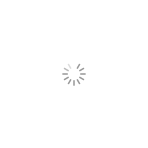 保定禾邦電子元器件