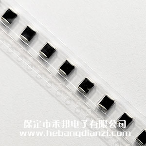 �NƬ�������RS1812A101K